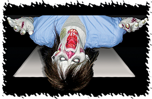 The Faller
