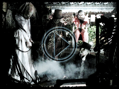 Morbid Matrimony Movie