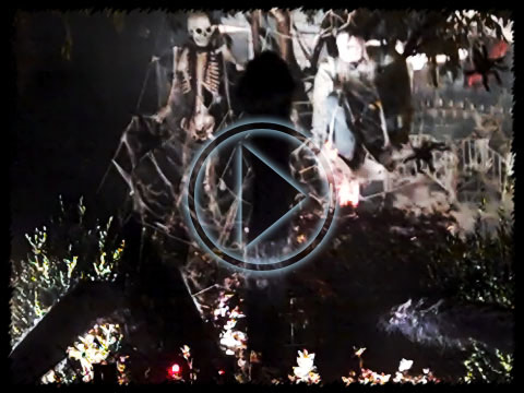 vg-skullynetty.mov