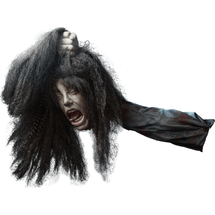 AllScare Animatronic Arm and Header