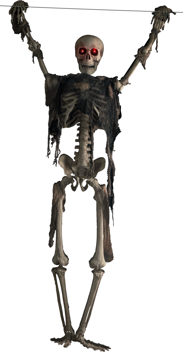 AllScare Animatronic Cable Cadaver